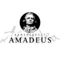 Amadeus Kamerorkest Eelde