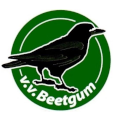 Voetbalvereniging Beetgum