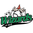 Honk- en Softbal Vereniging Wizards of BoZ