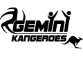 Volleybalvereniging Gemini-Kangeroes te Voorschoten