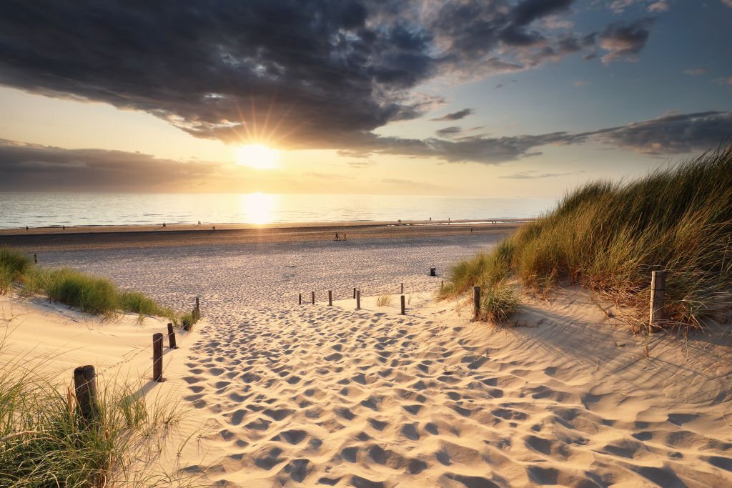 Wat te doen in Zandvoort?