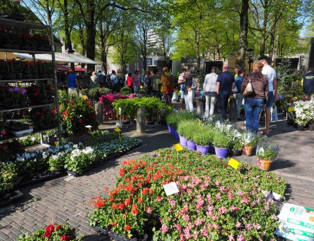 Wat te doen in Utrecht?