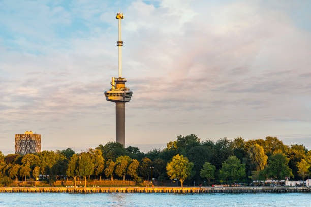 Wat te doen in Rotterdam?