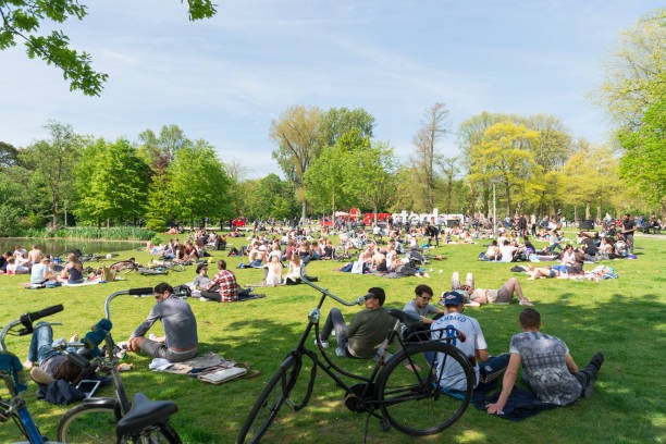 Wat te doen in Amsterdam?